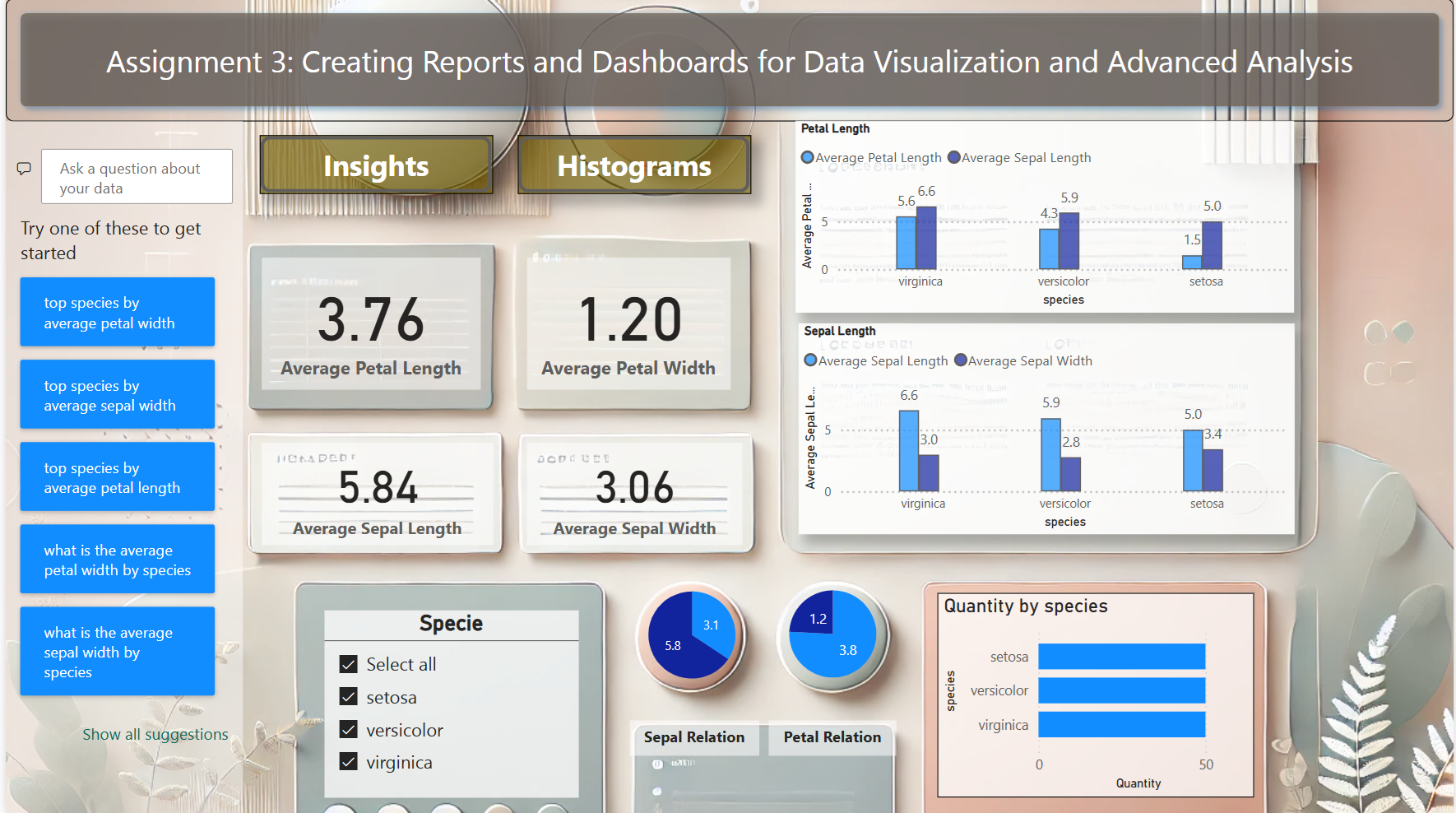 Dashboard Visualization